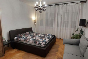 Apartment Drvenija
